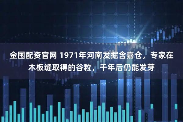 金囤配资官网 1971年河南发掘含嘉仓，专家在木板缝取得的谷粒，千年后仍能发芽