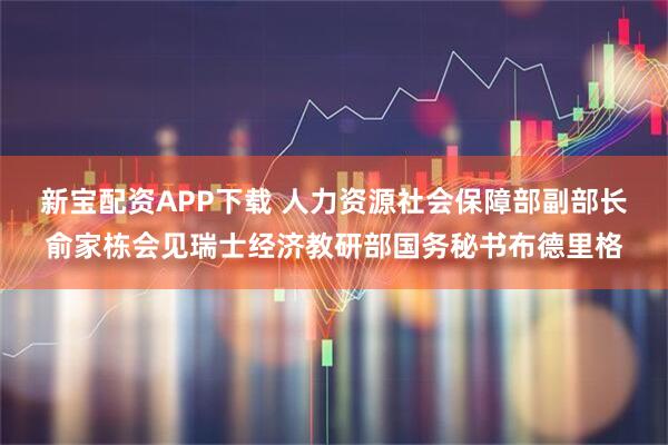 新宝配资APP下载 人力资源社会保障部副部长俞家栋会见瑞士经济教研部国务秘书布德里格
