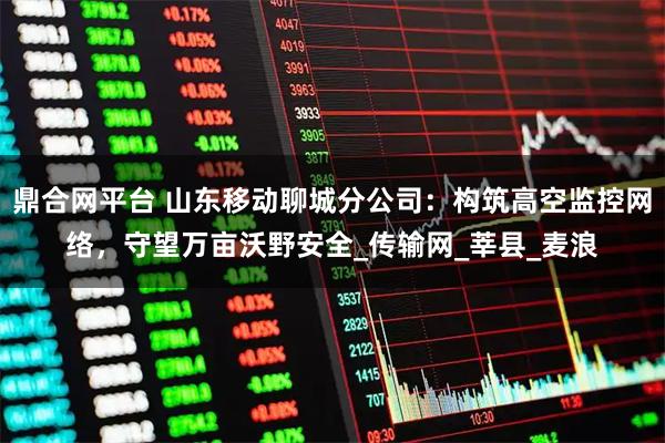 鼎合网平台 山东移动聊城分公司：构筑高空监控网络，守望万亩沃野安全_传输网_莘县_麦浪