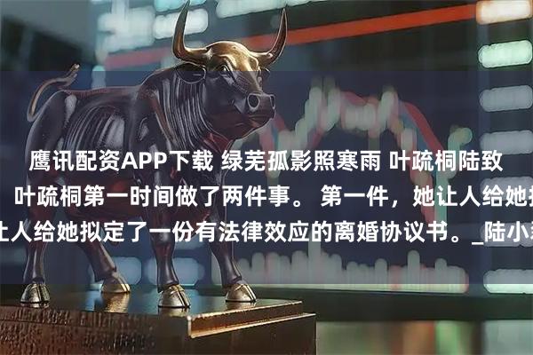 鹰讯配资APP下载 绿芜孤影照寒雨 叶疏桐陆致礼许月 重生回八零年代，叶疏桐第一时间做了两件事。 第一件，她让人给她拟定了一份有法律效应的离婚协议书。_陆小磊_杂物间_张教授