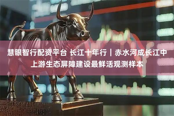 慧眼智行配资平台 长江十年行｜赤水河成长江中上游生态屏障建设最鲜活观测样本